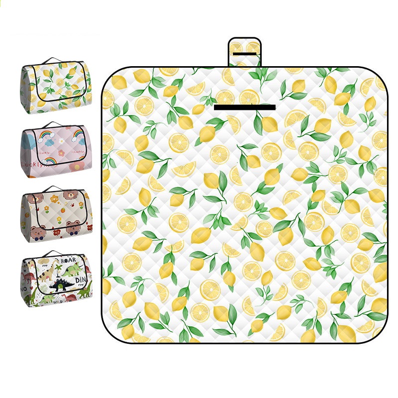 150*200CM Portable Picnic Mat  - đánh giá và giá Outdoor Camping Carpet