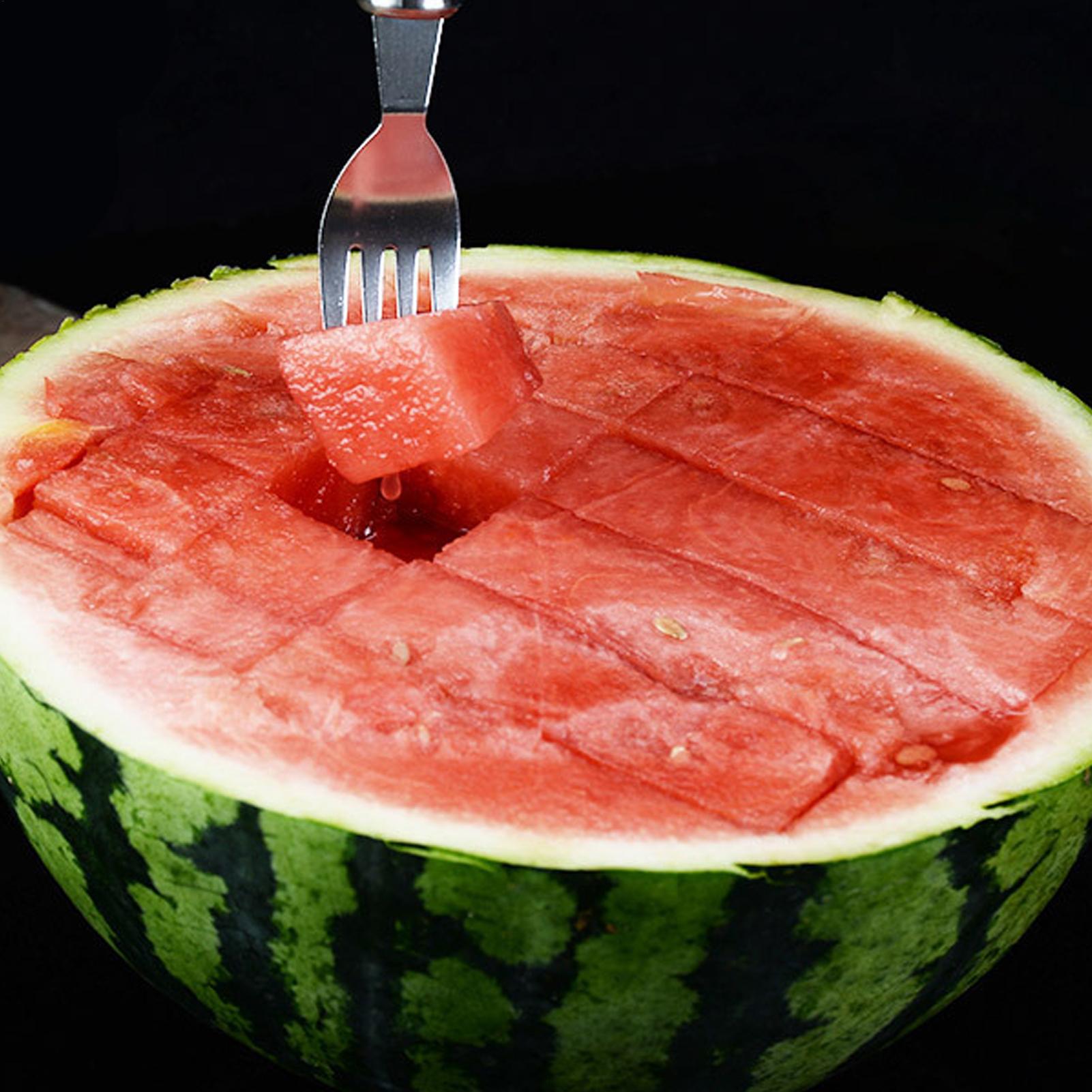 Watermelon Cutter Double Heade - đánh giá và giá Kitchen Outdoor Camping