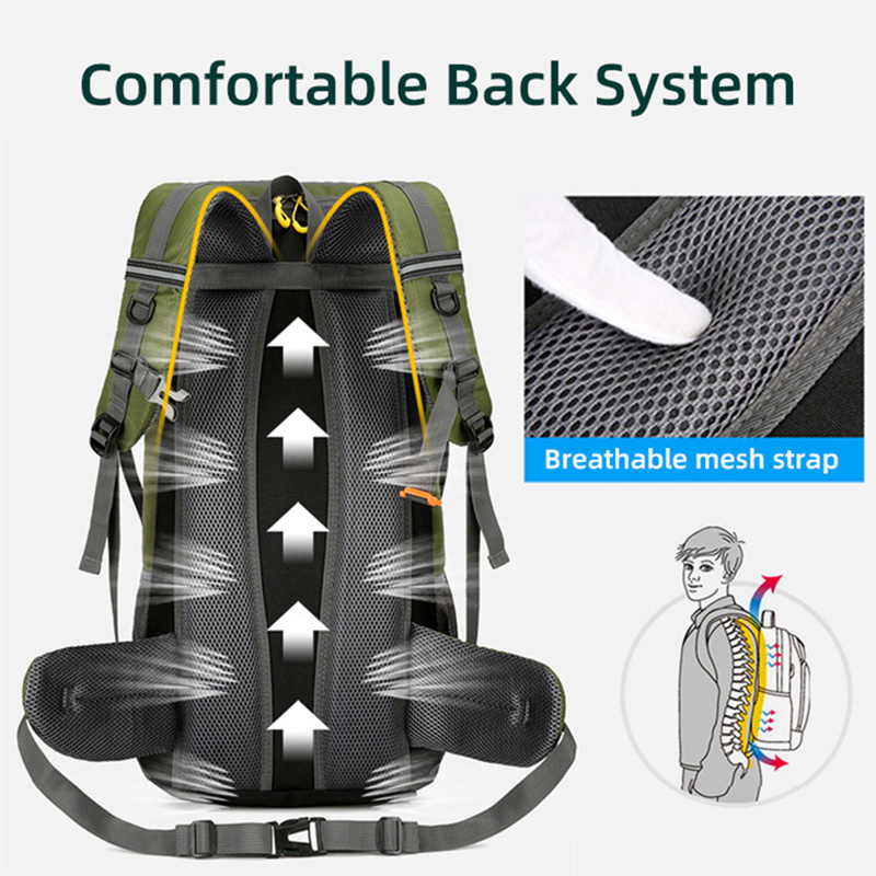 50L Travel Backpack Camping Me - đánh giá và giá Outdoor Camping Warehouse